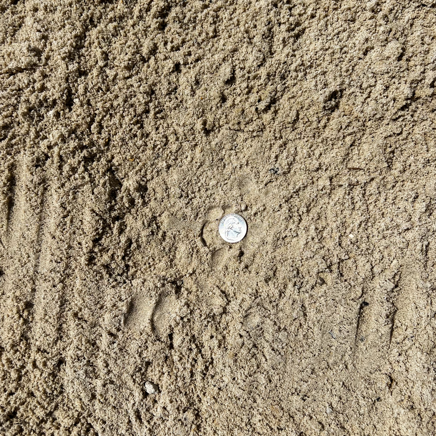 River Sand Picayune Landscape Supply - Picayune, MS