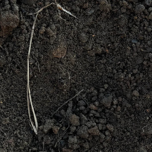 Topsoil